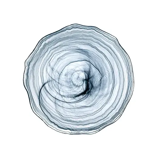 Блюдо, ArdaCam, Amorf, d 33 см, h 2 см