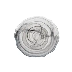 Тарелка, ArdaCam, Amorf, бело-черный, d 32.5 см, h 2 см