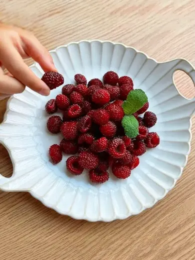 Тарелка круглая с ручками, Carta, Fiore, 24.5 x 20.5 x 3.8 см