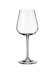Бокал для вина, Crystal Bohemia, Ardea, 9.6 x 22.9 см, 450 мл