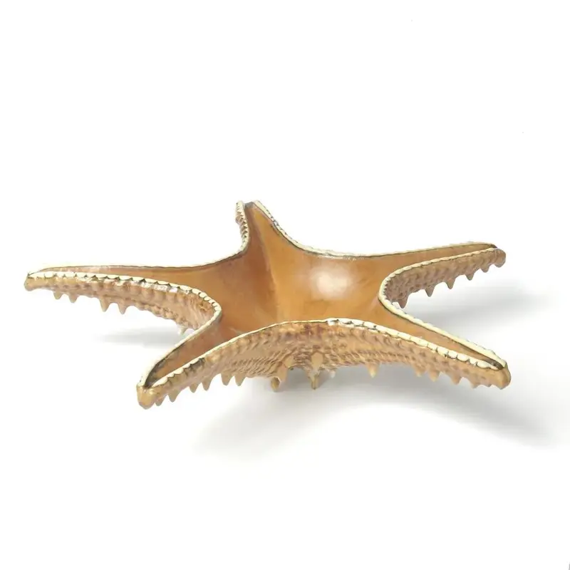 Блюдо для подачи P.L. Proff Cuisine Frutti di Mare 28 x 28 см 100 мл