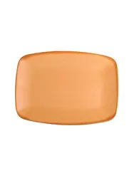 Блюдо прямоугольное, Porland, Danshari Earth, d 27 см