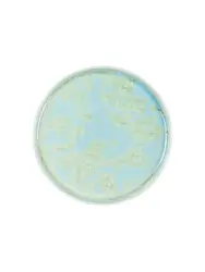 Тарелка с бортом, Royal Charm, Frost, 21 x 1.9 см, зеленая