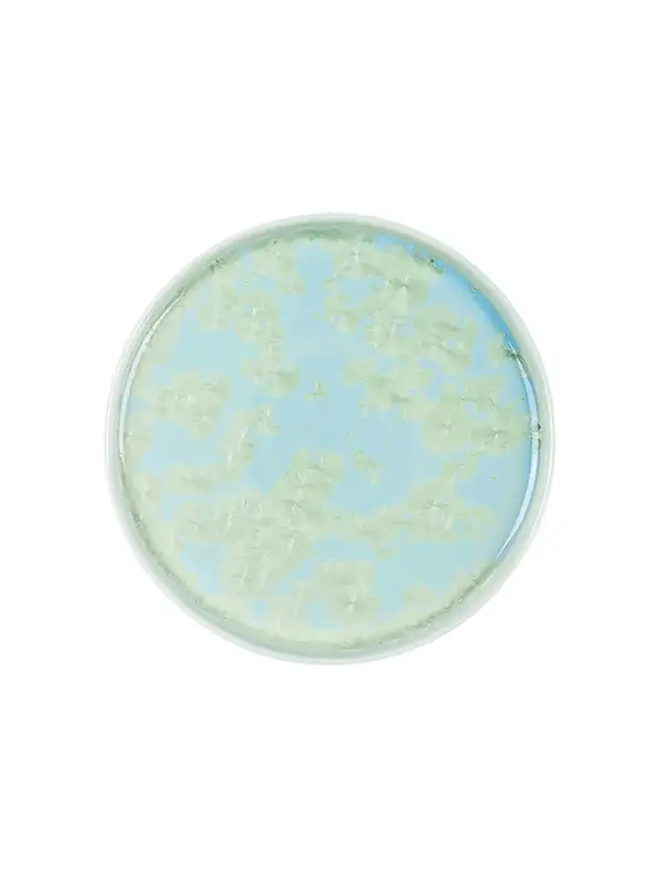 Тарелка с бортом, Royal Charm, Frost, 21 x 1.9 см, зеленая