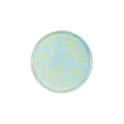 Тарелка с бортом, Royal Charm, Frost, 21 x 1.9 см, зеленая