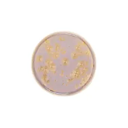 Тарелка с бортом, Royal Charm, Frost, 21 x 1.9 см