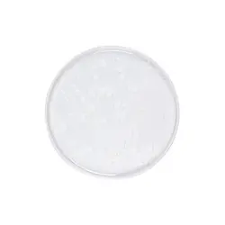 Тарелка с бортом, Royal Charm, Frost, 28 x 1.8 см, белая