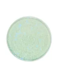 Тарелка с бортом, Royal Charm, Frost, 28 x 1.8 см, зеленая