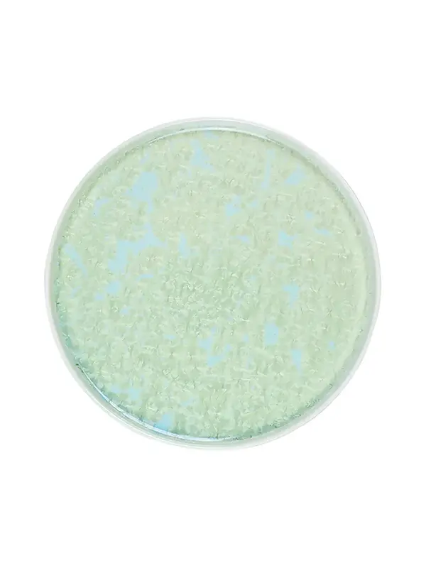 Тарелка с бортом, Royal Charm, Frost, 28 x 1.8 см, зеленая