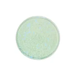 Тарелка с бортом, Royal Charm, Frost, 28 x 1.8 см, зеленая