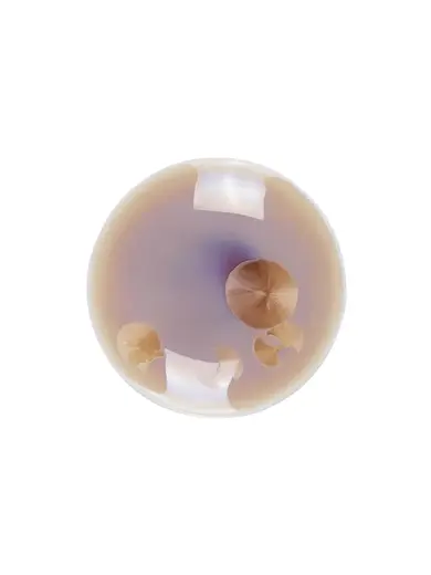 Блюдо для подачи, Royal Charm, Frost, 10 x 4 см