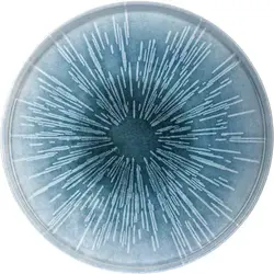 Тарелка, Kutahya, Nanocream Blue, 24 см