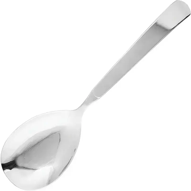 Ложка сервировочная, Pintinox, Astra, 26 см