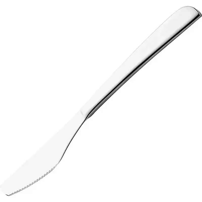 Нож столовый, Pintinox, Cateri, 21 х 2.3 см