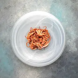 Салатник, ArdaCam, Hollow, d 21 см, h 4.5 см