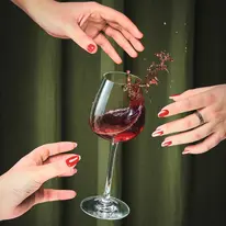 WINE EMOTIONS
