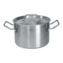 Кастрюля с крышкой, P.L. Proff Cuisine, Gourmet Line, 20 х 10.5 см, 3.3 л, 20 см