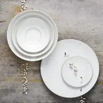 Wabi Sabi Lichen