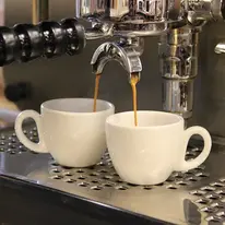 Barista