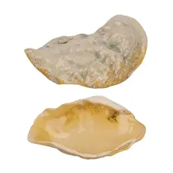 Блюдо для подачи P.L. Proff Cuisine Frutti di Mare Pearl 19,9*8 см h3,8 см