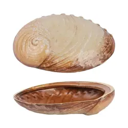 Салатник P.L. Proff Cuisine Pearl Ammonite Shell Frutti di Mare 365 мл 19*14,5 см h5 см