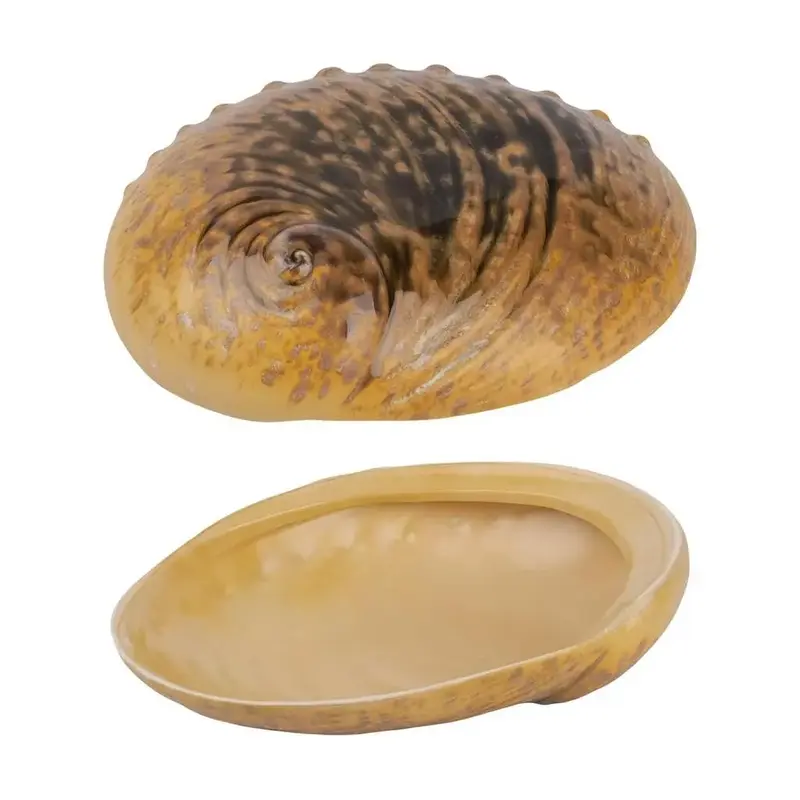 Салатник P.L. Proff Cuisine Light Pearl Ammonite Shell Frutti di Mare 365 мл 19*14,5 см h5 см