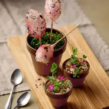 Terrakotta / Terracotta