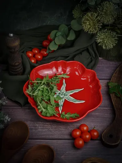 Тарелка глубокая d 26 см h 4,6 см, Tomato