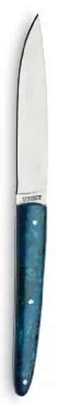 Нож для стейка 22,5 см, ручка - стабилизированное дерево, цвет синий