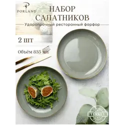 Набор салатников Porland Seasons 22 см (2 предмета), тёмно-серый, 835 мл