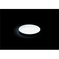 Тарелка d=150 мм. без полей Wilmax /12/96/