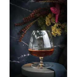 Бокал для коньяка 465 мл SPEAKEASIES SWING