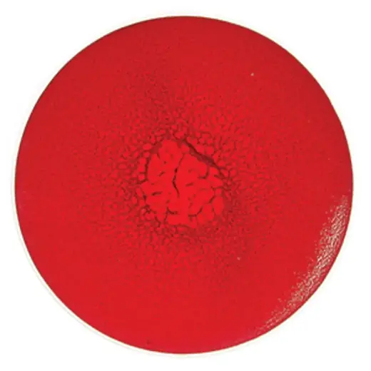 Тарелка d 21 см Rubi Sunset P.L. Proff Cuisine [4]