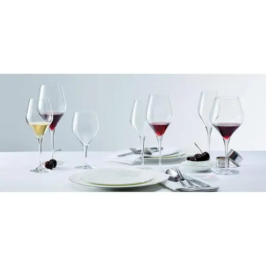 Бокал для вина 630 мл хр. стекло Finesse d 9,8 см h26 см Schott Zwiesel [6]