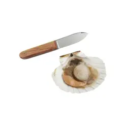 Нож для устриц 110/220 мм. ручка дерев. Tellier /1/12/