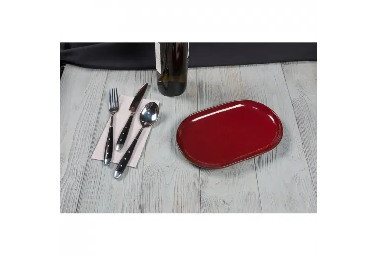 Блюдо овальное 25*16*2,4 см Evolution Dark Red P.L. Proff Cuisine [1]