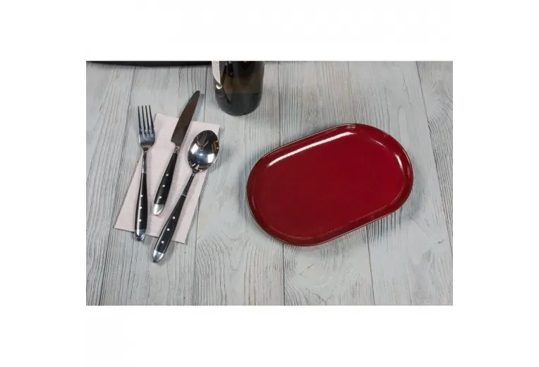 Блюдо овальное 25*16*2,4 см Evolution Dark Red P.L. Proff Cuisine [1]