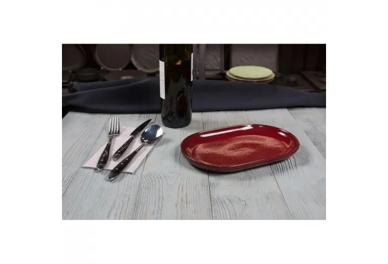 Блюдо овальное 25*16*2,4 см Evolution Dark Red P.L. Proff Cuisine [1]