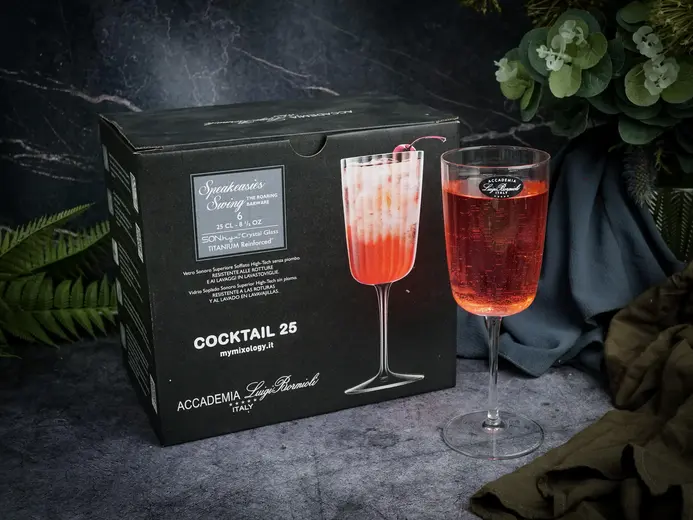 Бокал для коктейля 250 мл SPEAKEASIES SWING