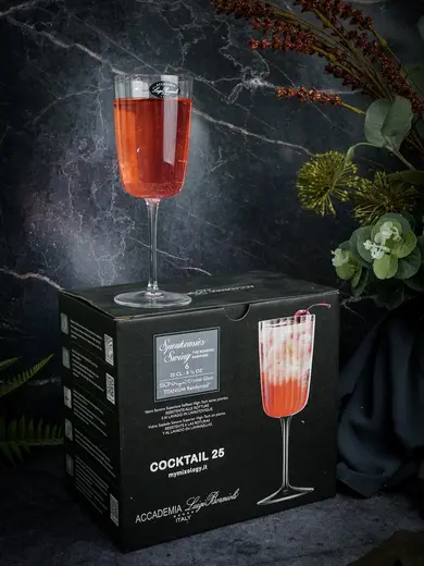 Бокал для коктейля 250 мл SPEAKEASIES SWING