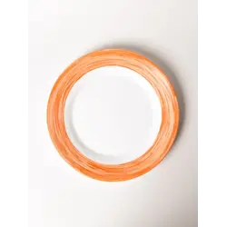 Тарелка, ARC International, Brush, оранжевый край, d 254 мм, (P3949)