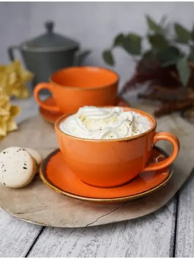 Набор чайных пар Porland Seasons 340 мл (4 предмета), оранжевый