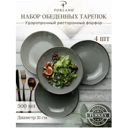 Набор глубоких тарелок Porland Seasons 21 см (4 предмета), 500 мл, тёмно-серый
