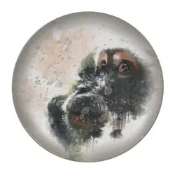 Тарелка d=270 мм. Саванна, форма Гурмэ Bonna /1/12/ 