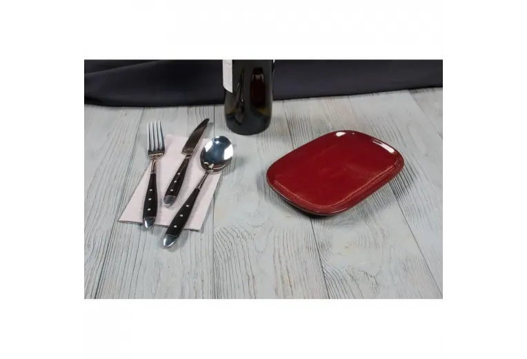 Блюдо овальное 20*13*1,9 см Evolution Dark Red P.L. Proff Cuisine [1]