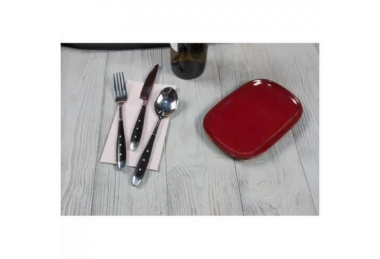 Блюдо овальное 20*13*1,9 см Evolution Dark Red P.L. Proff Cuisine [1]