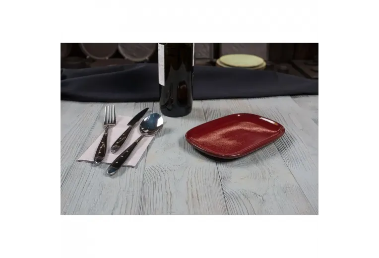 Блюдо овальное 20*13*1,9 см Evolution Dark Red P.L. Proff Cuisine [1]