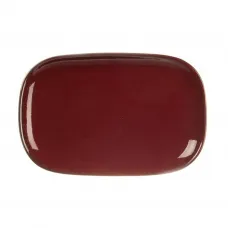 Блюдо овальное 20*13*1,9 см Evolution Dark Red P.L. Proff Cuisine [1]