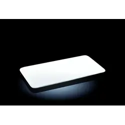 Блюдо прямоуг. 300*160 мм. Wilmax /3/18/