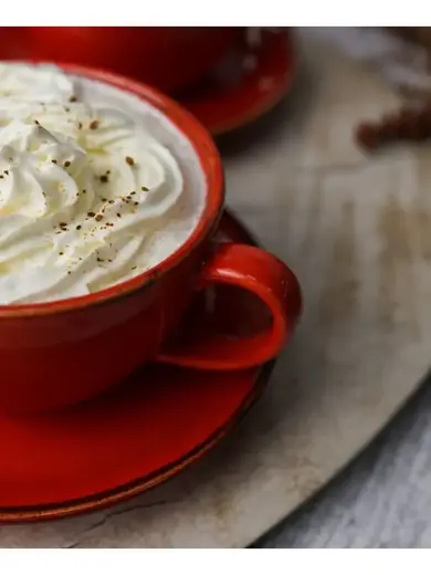 Набор чайных пар Porland Seasons 340 мл (4 предмета), красный